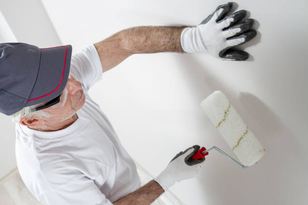 Best Black Mold Removal  in Trempealeau, WI