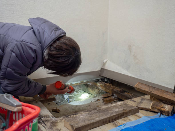 Best Industrial Mold Remediation  in Trempealeau, WI