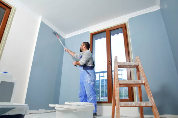 Best Mold Odor Removal Services  in Trempealeau, WI