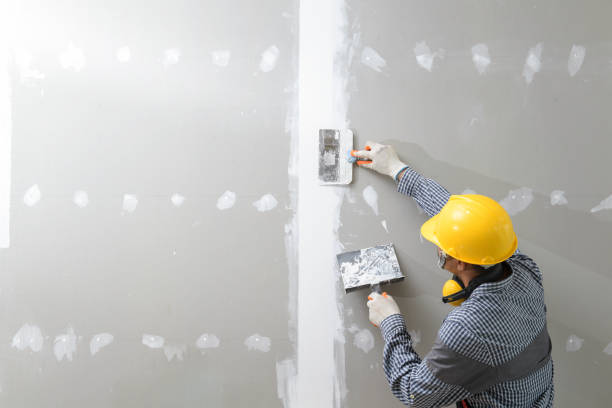 Mold Odor Removal Services in Trempealeau, WI