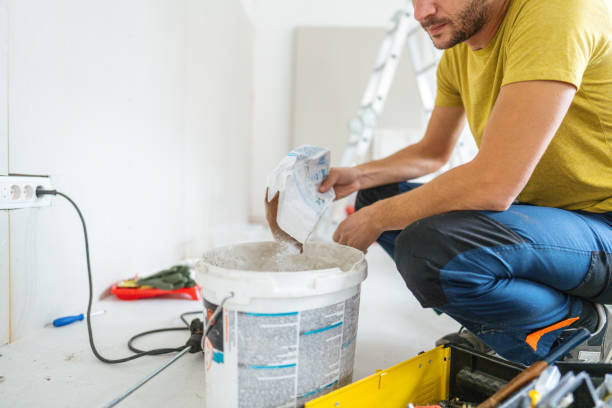 Professional Mold Removal in Trempealeau, WI