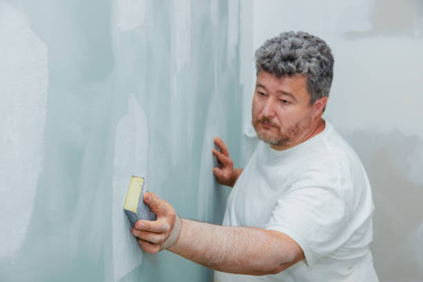 Best Mold Removal for HVAC Installations  in Trempealeau, WI