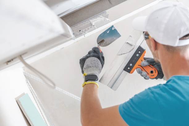 Best Environmental Consulting for Mold Prevention  in Trempealeau, WI